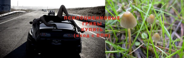 гашик Балахна