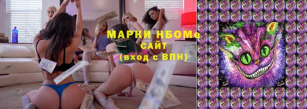 гашик Балахна