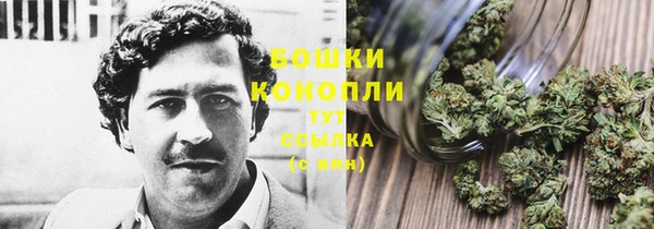 гашик Балахна