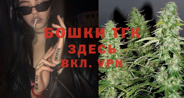 гашик Балахна
