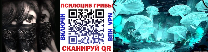 Купить где  Красково  Псилоцибиновые грибы мухоморы 